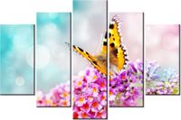 product-compare-58697454