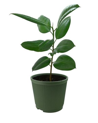 Stojak choinkowy / donica 10 l - zielony na Arena.pl