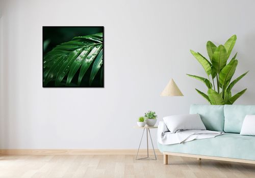 Plakat 80x80cm Żywa Łagodność na Arena.pl