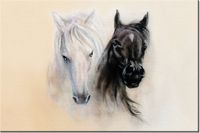 100 70CM OBRAZ PŁÓTNO BLACK&WHITE PŁÓTNO RAMA