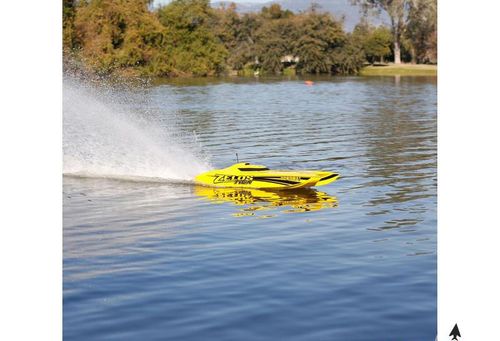Zelos 36 BL Twin Catamaran RTR na Arena.pl