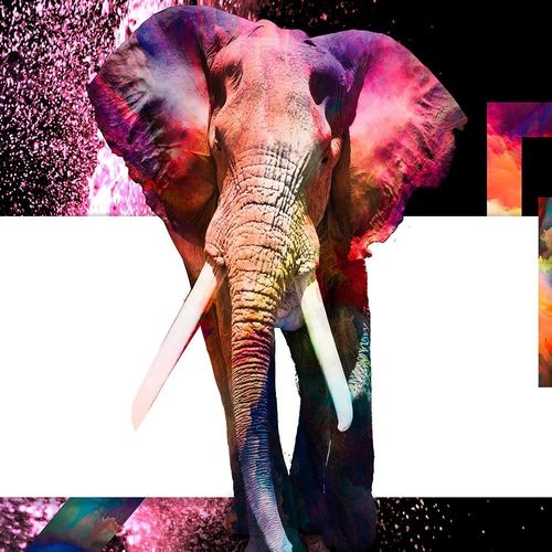 Deco Panel, Potężny słoń 2 90x60 na Arena.pl