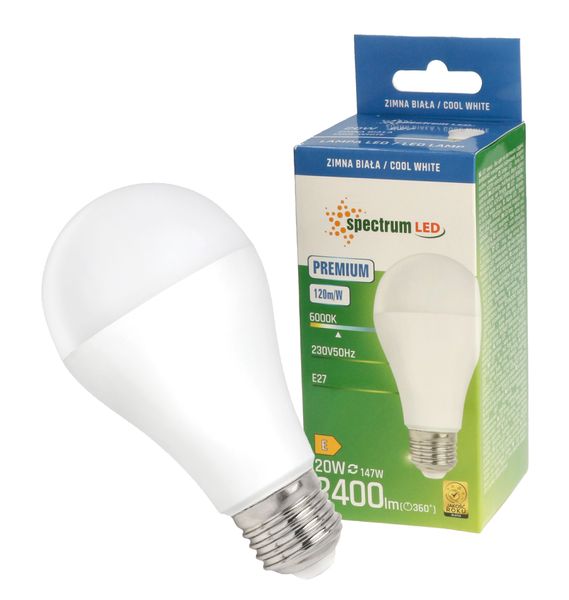 Żarówka LED GLS E27 20W barwa zimna PREMIUM 10 SZTUK SPECTRUM LED zdjęcie 2