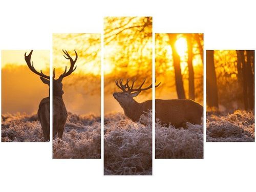 70 100CM OBRAZ 5 ELEM JELENIE DRUK PŁÓTNO na Arena.pl