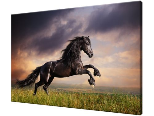 Obraz drukowany na płótnie canvas 120x80 + GRATIS na Arena.pl