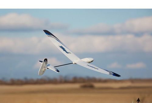 Whipit DLG Bind & Fly Basic na Arena.pl