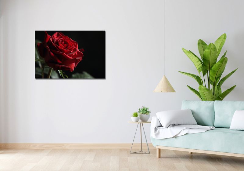 Obraz 90x60cm Róża w Półcieniu zdjęcie 2