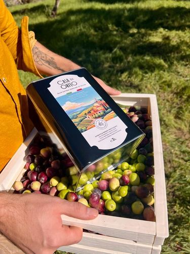 Oliwa Extra Vergine Casa di Orfeo 1 litr Sycylia Włochy na Arena.pl