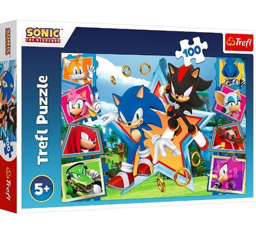 Puzzle 100 Elementów Poznaj Sonica Sonic na Arena.pl