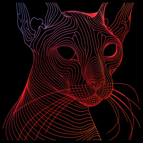 Plakat 50x50cm Cyfrowa Kocica zdjęcie 2