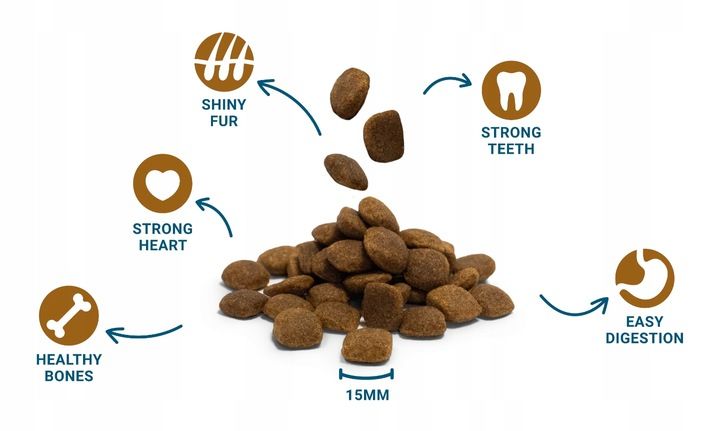 DIVINUS Performance karma sucha dla psa owczarek labrador witaminy 20kg zdjęcie 3