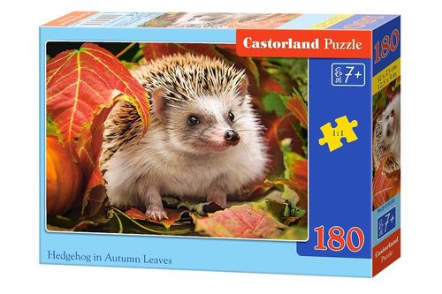 Castor 180 elementów, Jeż w liściach na Arena.pl