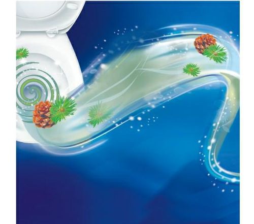BREF ŻEL DO WC POWER ACTIVE PINE 700ML... na Arena.pl