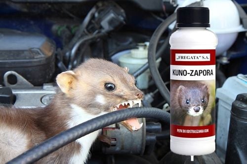 KUNO ZAPORA SILNY PŁYN ODSTRASZACZ KUN GRYZONI 1 L na Arena.pl