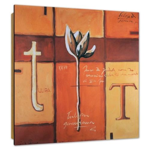 Deco Panel, T jak tulipan 60x60 na Arena.pl
