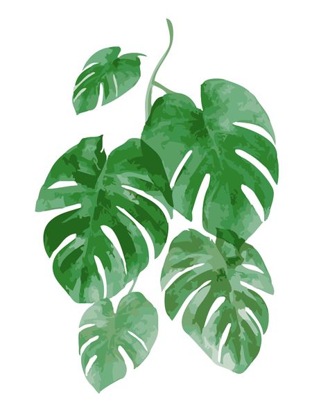Malowanie po numerach – Monstera - 30x40 rama zdjęcie 1