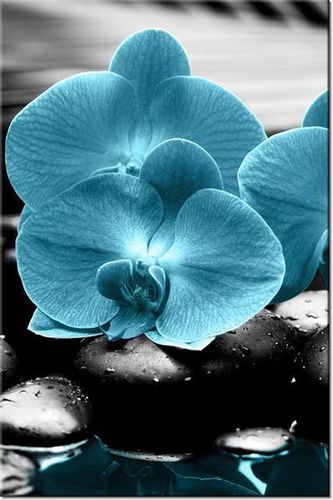 80CM 120 OBRAZ STORCZYK KAMIENIE ŚCIENNY na Arena.pl