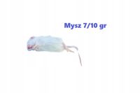Myszy mrożone 7/10g 25 sztuk + suchy lód