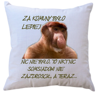 Poduszka dla Janusza