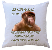 Poduszka dla Janusza