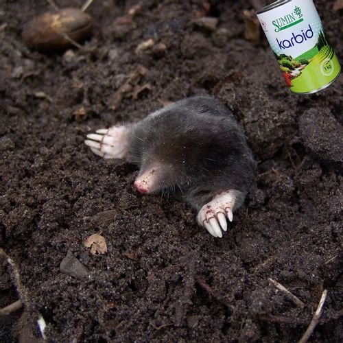 KARBID NA KRETY I NORNICE SUMIN GRANULOWANY ŚRODEK ODSTRASZA ZAPACHEM 1KG na Arena.pl