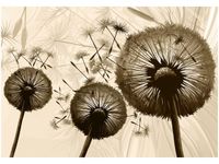 product-compare-58711954