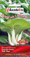 NASIONA Kapusta Chińska Pak Choi 0,1g PLANTICO Super Warzywo 402492
