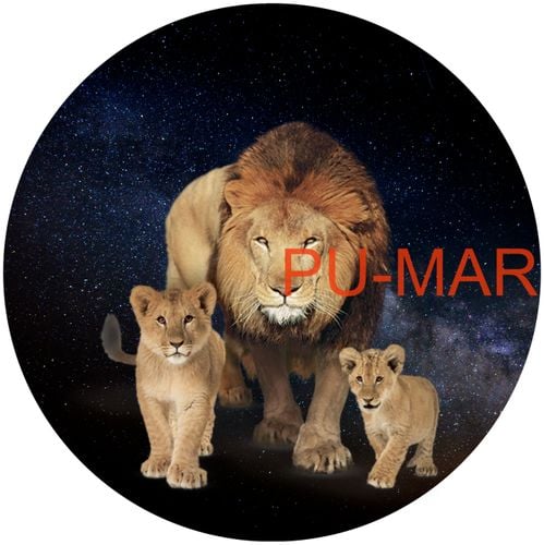 Opłatek na tort Lew Król Zwierząt Kot Kocur Kotek Gepard Puma Tygrys na Arena.pl