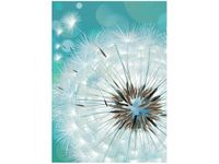 60CM 50CM OBRAZ ŚCIENNY PUSZYSTY DMUCHAWIEC DRUK PŁÓTNO