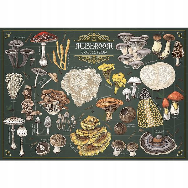 Puzzle 500 Premium Grzyby 37608 zdjęcie 3