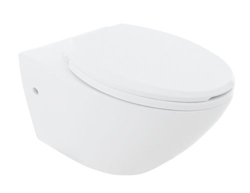 Misa WC Leon na Arena.pl