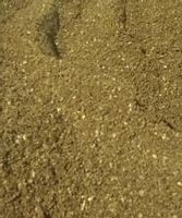 Konopie prażone mielone 0.5kg