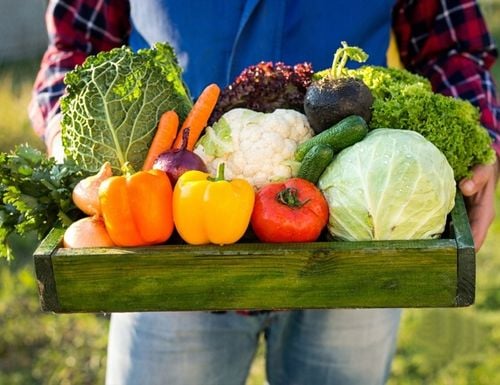 PRAWDZIWY OBORNIK KOŃSKI NIEGRANULOWANY NAJLEPSZY JESIENNY NAWÓZ WOREK na Arena.pl