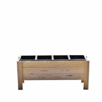 Donica W4D3N4 SUROWA