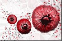 100 70CM OBRAZ PŁÓTNO CZERWONE DMUCHAWCE PŁÓTNO RAMA