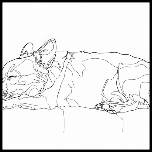 Plakat 90x90cm Śpiący Psiak na Arena.pl