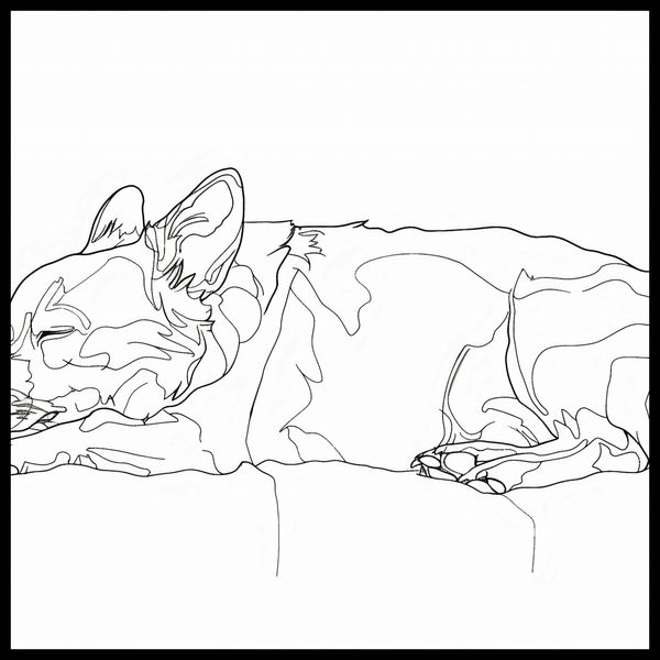 Plakat 90x90cm Śpiący Psiak zdjęcie 2