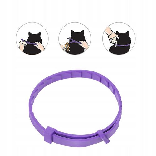 Obroża na pchły i kleszcze dla kota w wieku 8 miesięcy 32 CM na Arena.pl