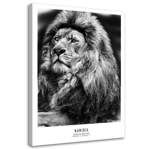 Emaga Obraz na płótnie, Lew Symbol Afryki - 80x120 zdjęcie 1
