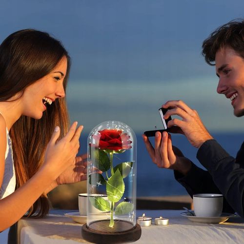 WIECZNA RÓŻA NEW MODEL: NR:8656 na Arena.pl