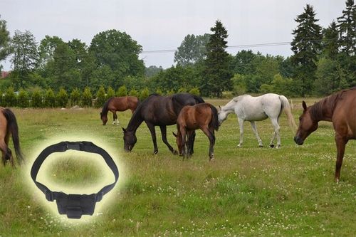 LOKALIZATOR GPS BYDŁA ZWIERZĄT ŚLEDZENIE PODSŁUCH na Arena.pl