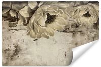 Fototapeta KWIATY Natura Abstrakcja Beton Styl Vintage 368cm x 254cm