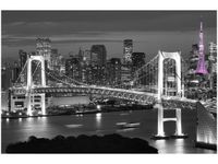 60X40CM NOCNY WIDOK OBRAZ