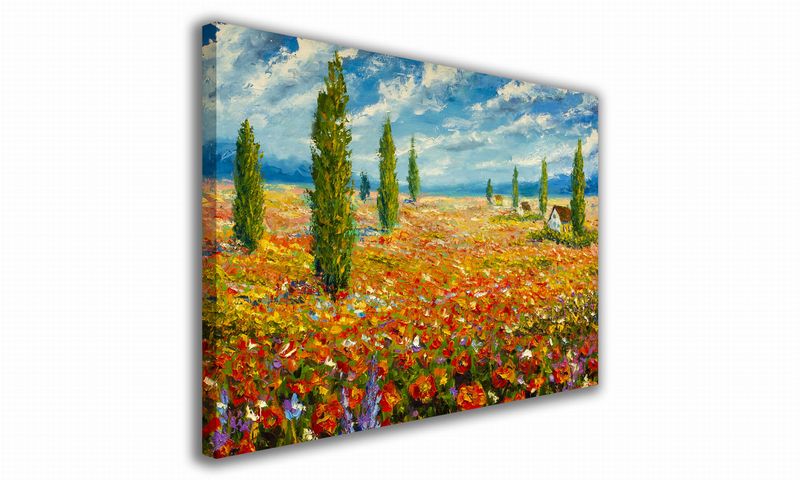 OBRAZ NA PŁÓTNIE 084 Pole maków 60x40cm zdjęcie 1