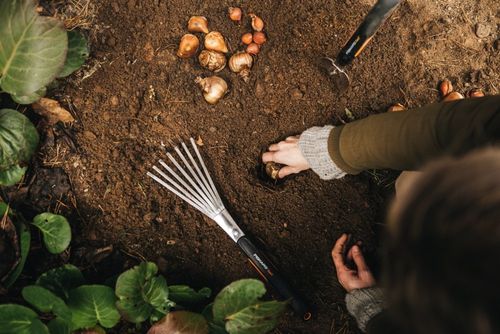 FISKARS ŁOPATKA XACT FS1027043 na Arena.pl
