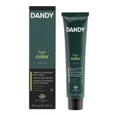 DANDY Krem koloryzujący dla mężczyzn Nr 4 Kasztan, bez amoniaku, 60ml
