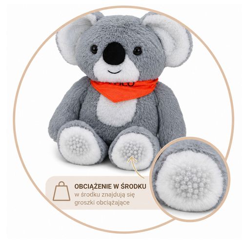 DLA DZIECI MIŚ KOALA  PLUSZAK na Arena.pl