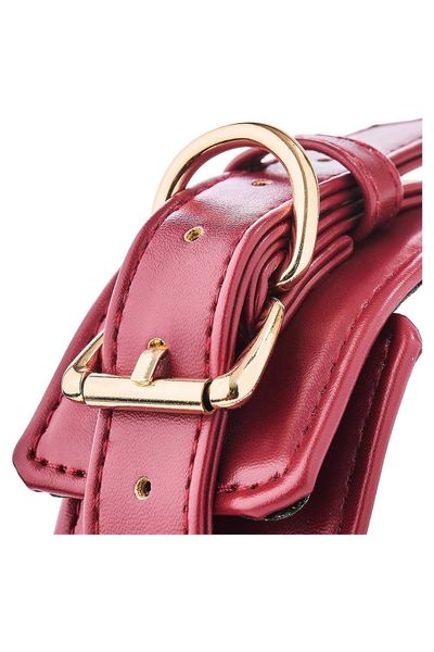 Blaze Elite Collar And Leash Red zdjęcie 4