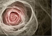 100 70CM OBRAZ PŁÓTNO RÓŻA KTALNA JASNY RÓŻ PŁÓTNO RAMA