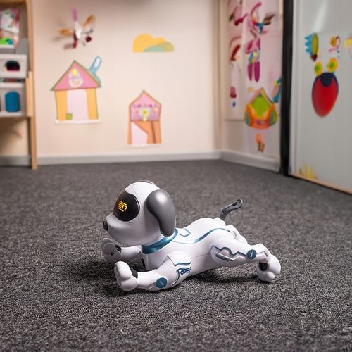 Maxlife pies zdalnie sterowany MXRD-100 biały na Arena.pl